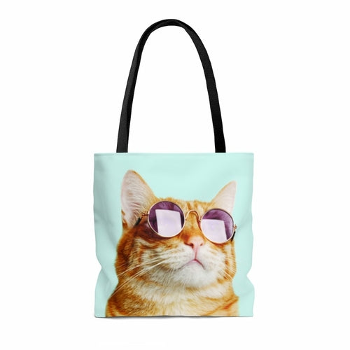 Dog and Cat Supplies